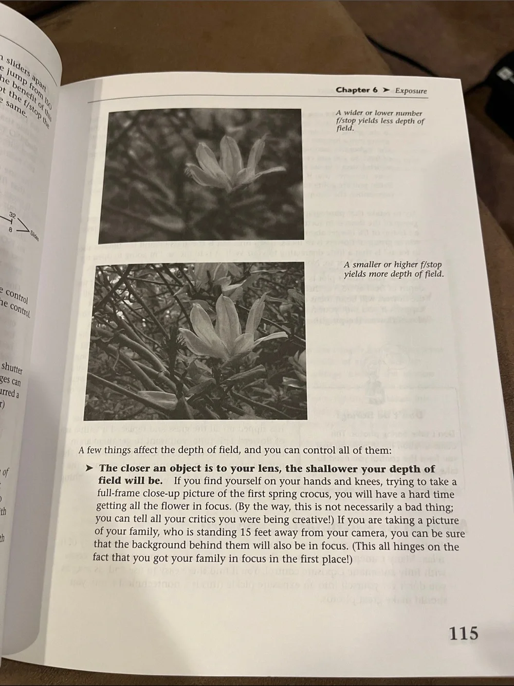 Alpha Books concise guide
